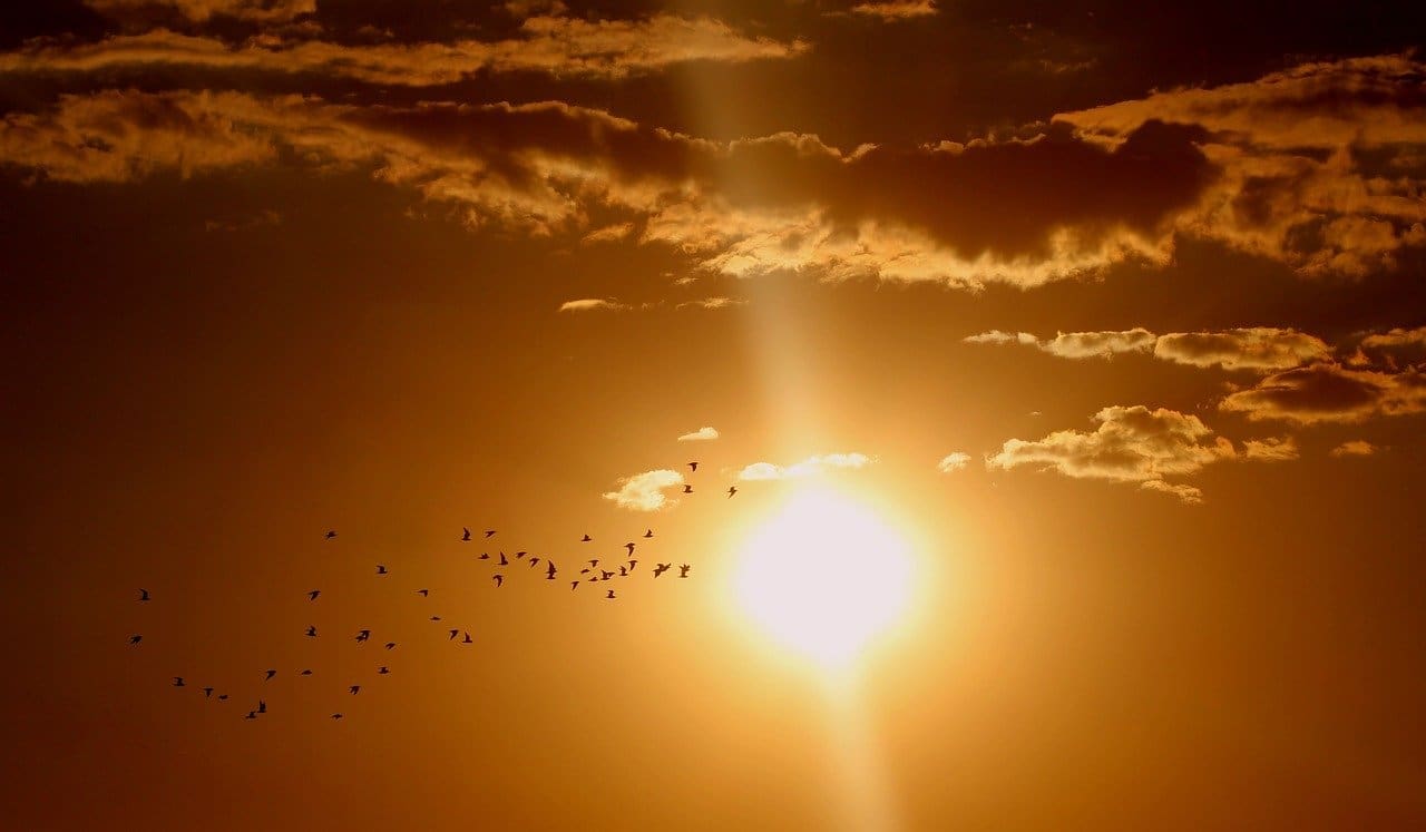 Invest in Solar PV | Kellihers - Electrical Wholesalers Ireland | News